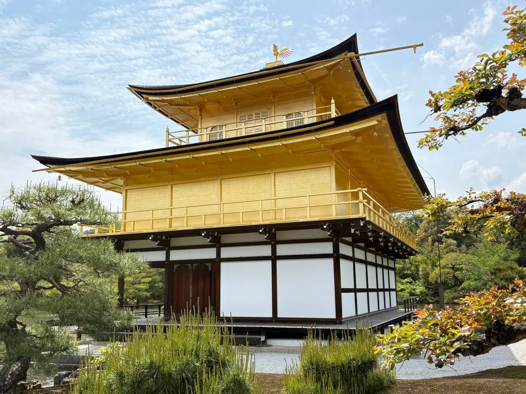 20대 자유여행 프리스타일 일본 49