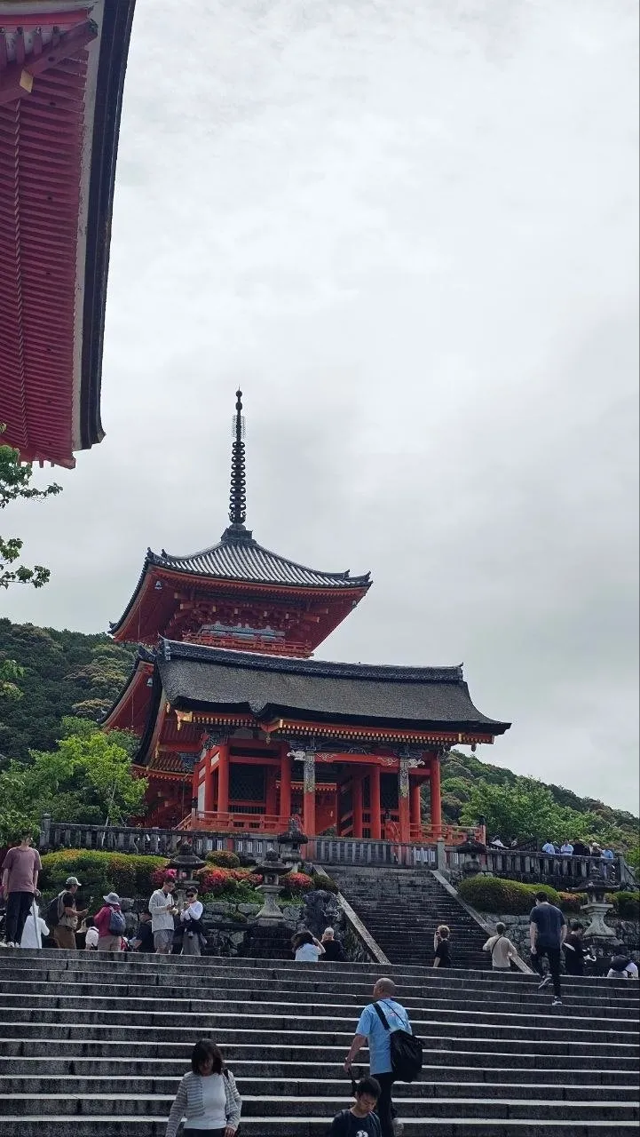 3039 일본미식여행 106