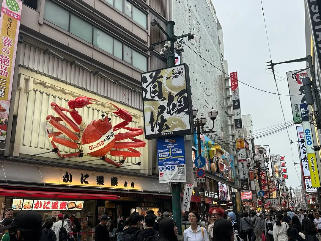 아이랑 키즈일본/중국여행 18